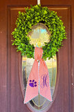 Palmetto State Football Sash