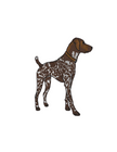Outdoorsmen Sash